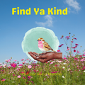 Find Ya Kind